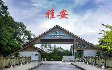 雅安數字迎新系統應用案例：山區學(xué)校遠程報到實(shí)踐