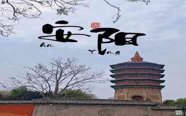 安陽(yáng)教職工管理系統：本地化部署助力教育管理效能提升