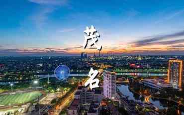 茂名教工管理系統的革新實(shí)踐：打通教師信息孤島的智能方案