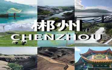 郴州教師信息管理系統本地化方案：為教育管理賦能
