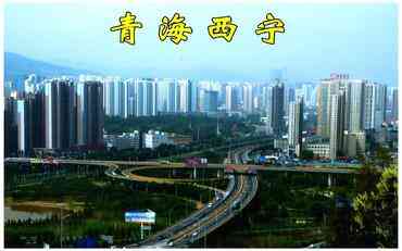 智慧校園教職工平臺如何助力西寧教育提質(zhì)增效？