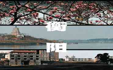 衡陽(yáng)頂崗實(shí)習管理系統：校企協(xié)同育人新實(shí)踐