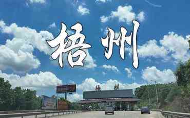 梧州實(shí)習管理平臺應用指南：如何選到適合本地需求的實(shí)習系統?