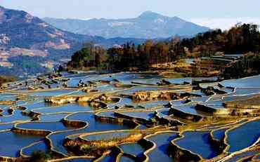 紅河職業(yè)院校學(xué)工服務(wù)平臺的應用實(shí)踐與本土化探索?